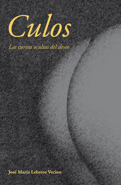 José Mª Lebrero Vecino *